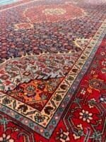 ARDIBEL MAHI
303x196 cm - Image 2