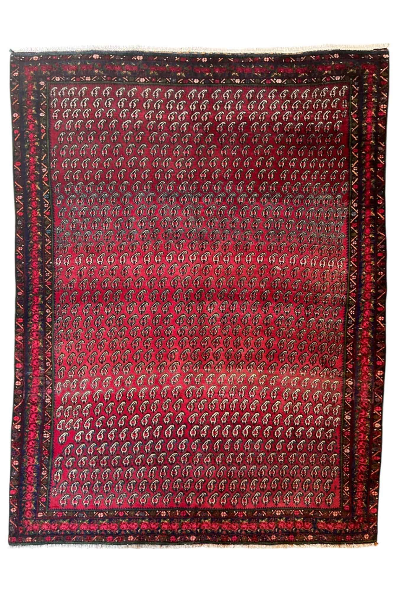 photoroom_20250720_174557 TRIBAL BOTTEH
290x214 cm - Image 1