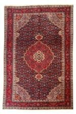 ARDIBEL MAHI
303x196 cm