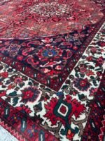 BAKHTIAR WOOL 305x210 cm - Image 3