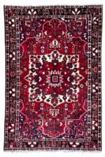 BAKHTIAR TRIBAL<br>320x205 cm
