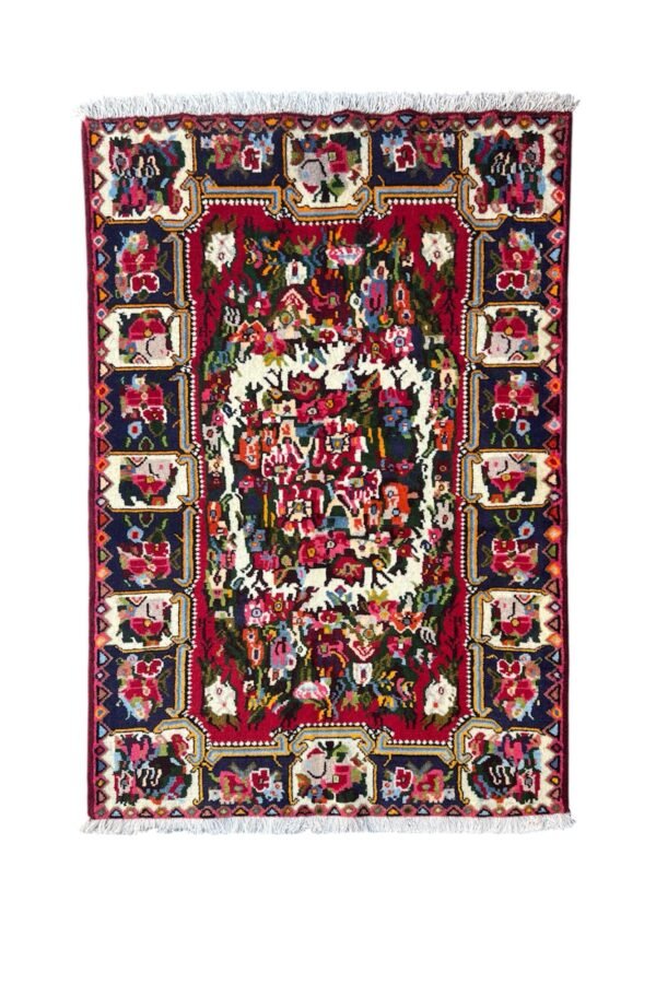 BAKHTIAR GULFARNG 162x113 cm